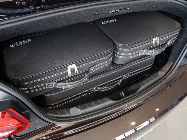 BMW Luggage Set